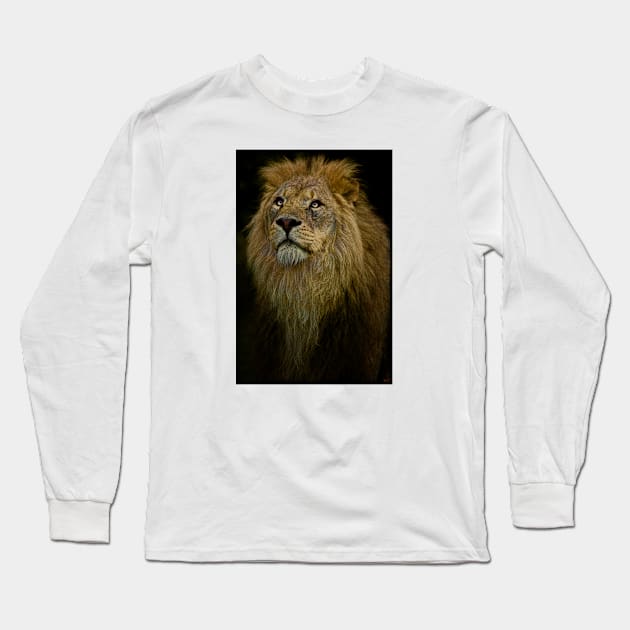 Lion, Waiting Long Sleeve T-Shirt by Chris Lord